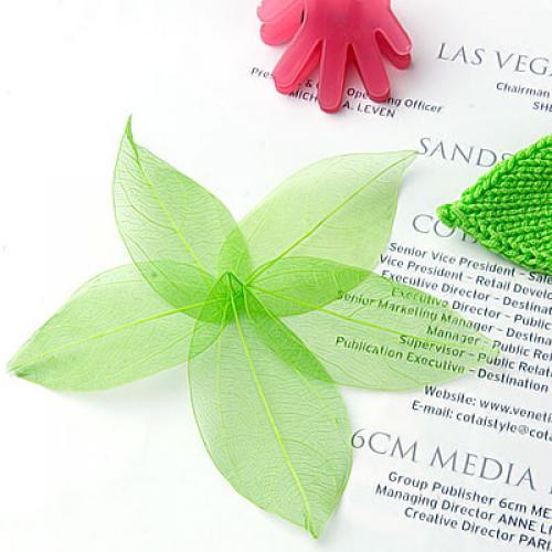 Natural Catbrier Skeleton Leav - Craft Embellishment recensione e prezzo