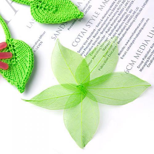 Natural Catbrier Skeleton Leav - Craft Embellishment recensione e prezzo