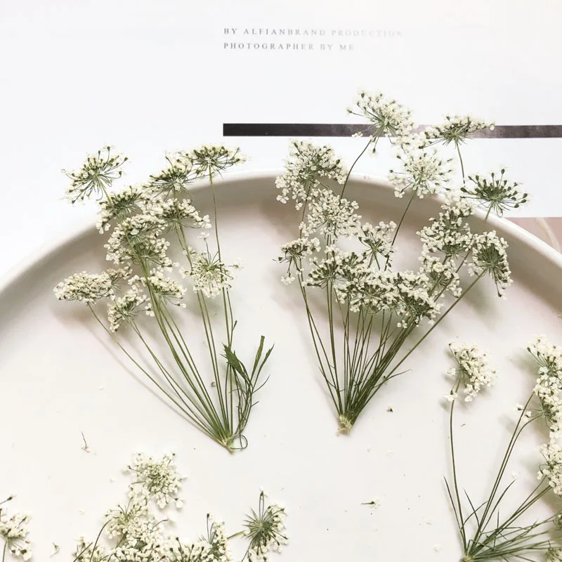 5-7cm/12pcs,Snow Tiny Flowers  - Craft Embellishment recensione e prezzo