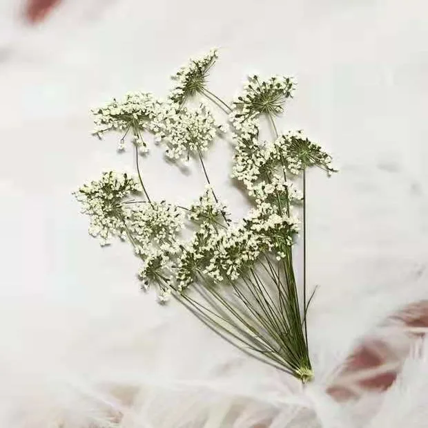 5-7cm/12pcs,Snow Tiny Flowers  - Craft Embellishment recensione e prezzo
