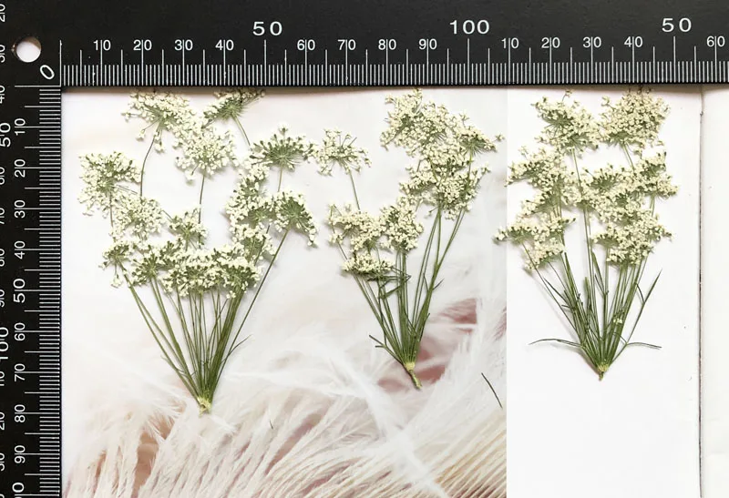 5-7cm/12pcs,Snow Tiny Flowers  - Craft Embellishment recensione e prezzo