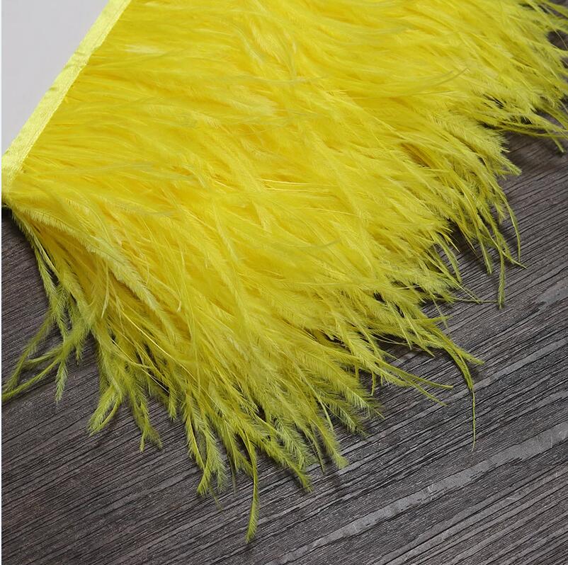 Ostrich Feathers Trim 13-18 CM - Feather Trim Marabou recensione e prezzo