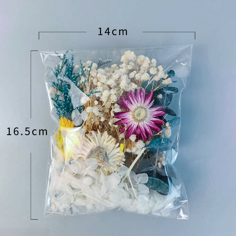 1pack Multifarious Dried Flowe - Embellish Craft recensione e prezzo