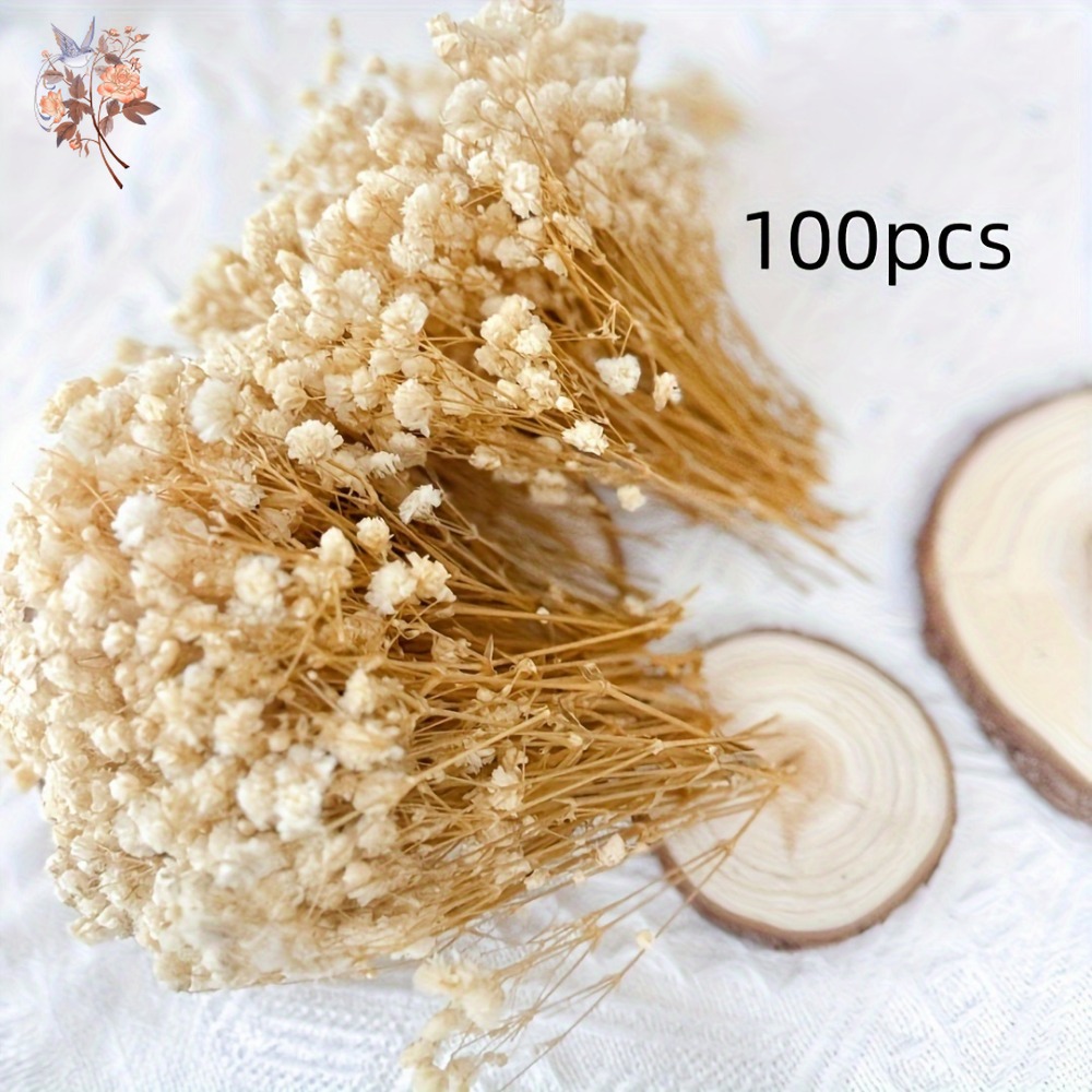100pcs Mini Dried Baby's Breat - Embellish Craft recensione e prezzo
