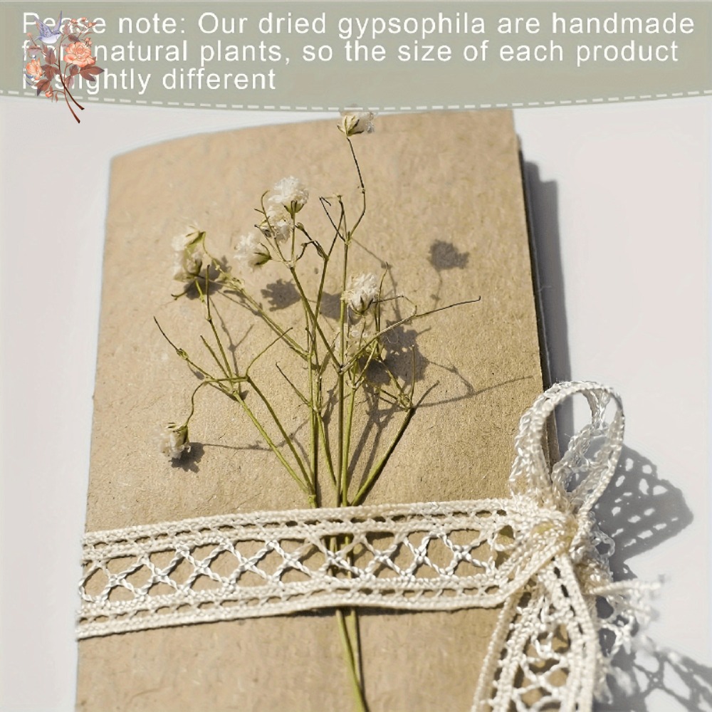 100pcs Mini Dried Baby's Breat - Embellish Craft recensione e prezzo